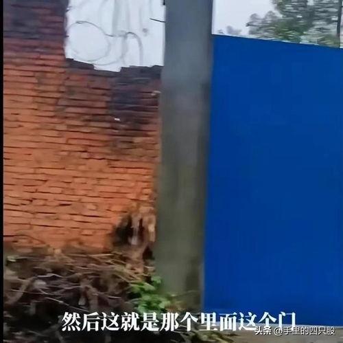 江西失踪最新爆料视频,神秘视频揭示惊人真相